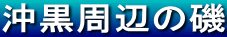 沖黒周辺の磯 