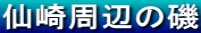 仙崎周辺の磯